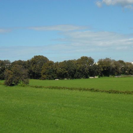 Masseria Gattamora Uggiano La Chiesa Exteriör bild